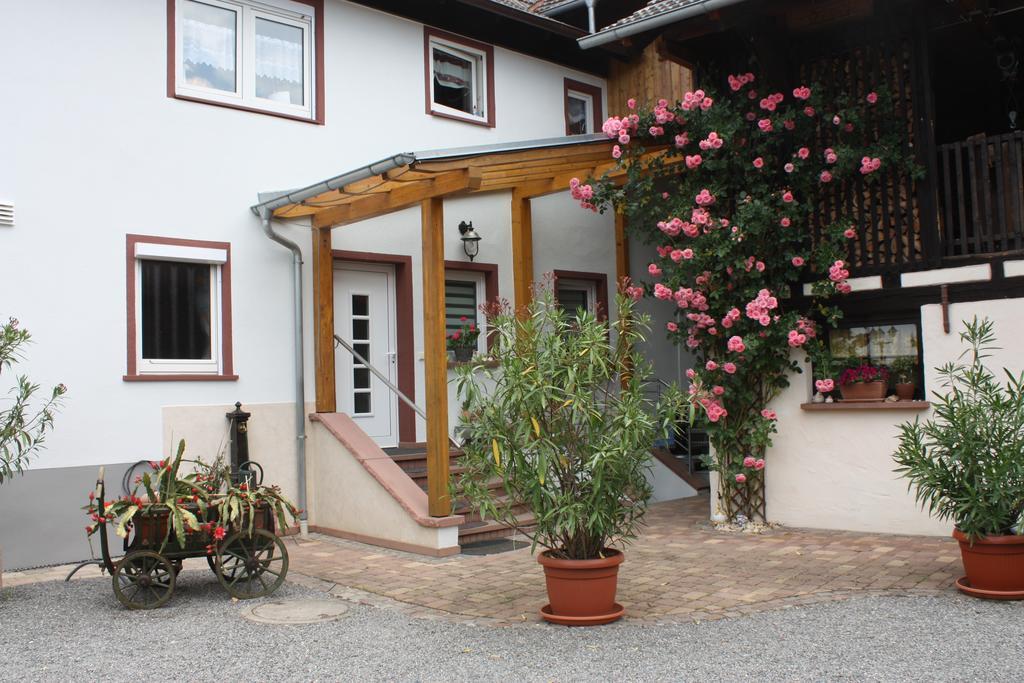 Ferienwohnung Fam. Hoehn Kappel-Grafenhausen Kültér fotó
