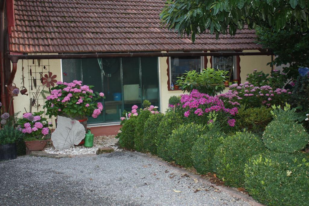 Ferienwohnung Fam. Hoehn Kappel-Grafenhausen Kültér fotó